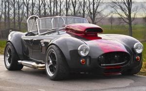 AC Cobra Limited Edition by Weineck '2006